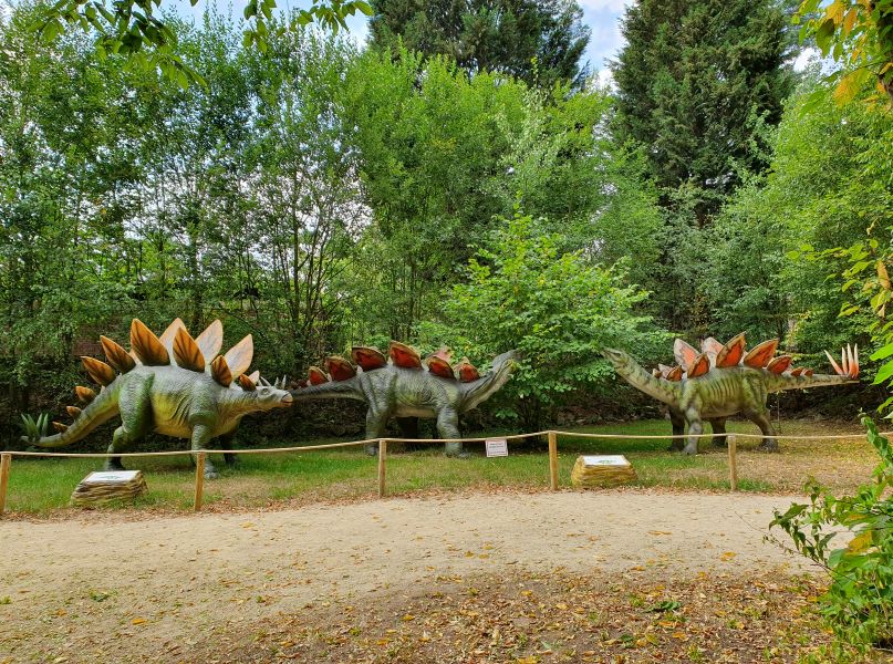Dino Zoo Metelen Duitsland Vettt