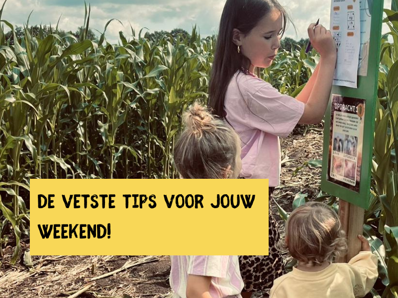 weekendtip