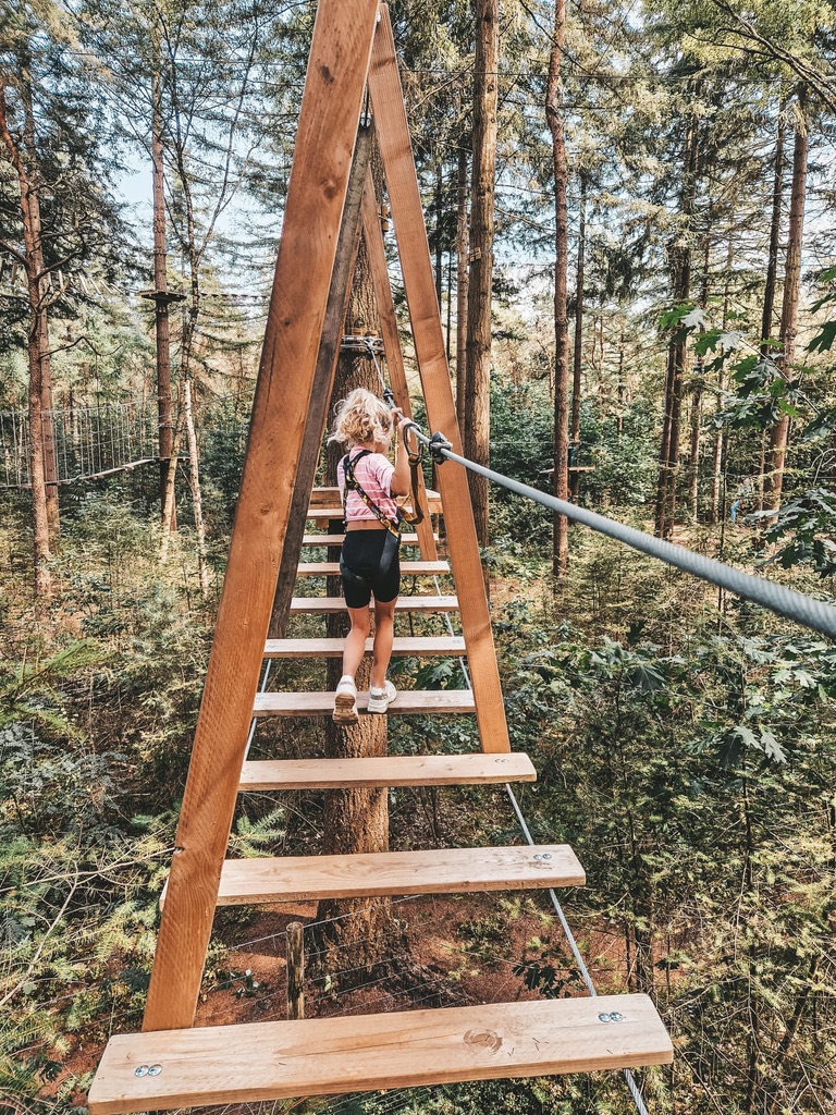 Klimbos Ruurlo de Heikamp