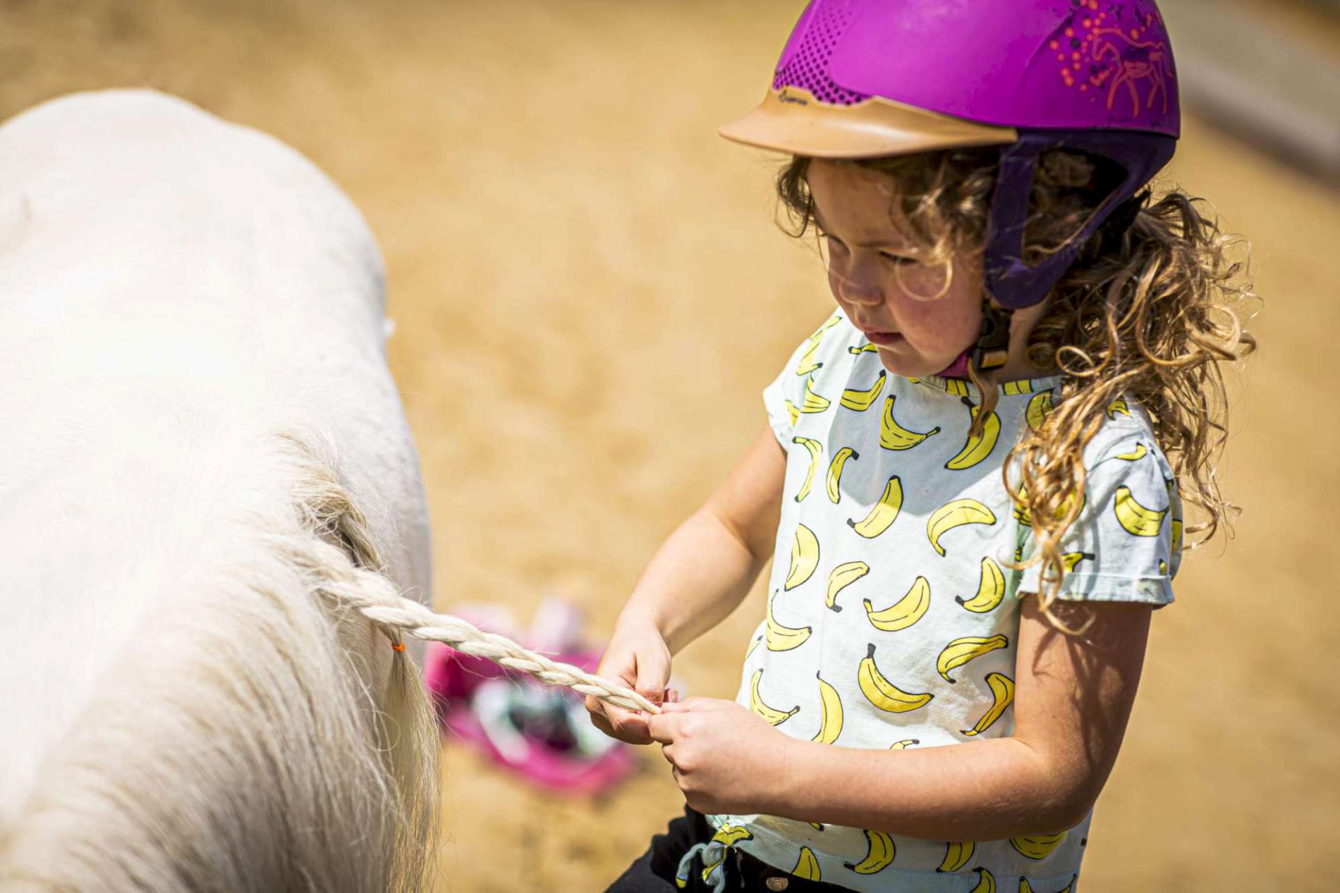 Ponymiddag bij Erve Meinders