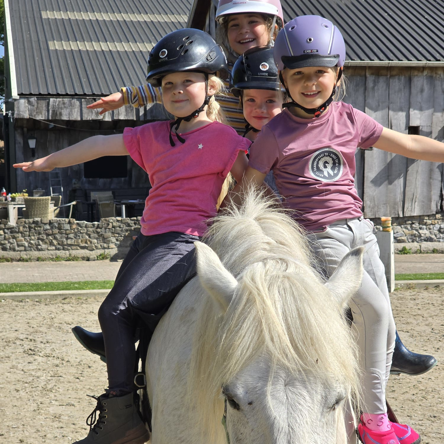 pony kinderfeestje