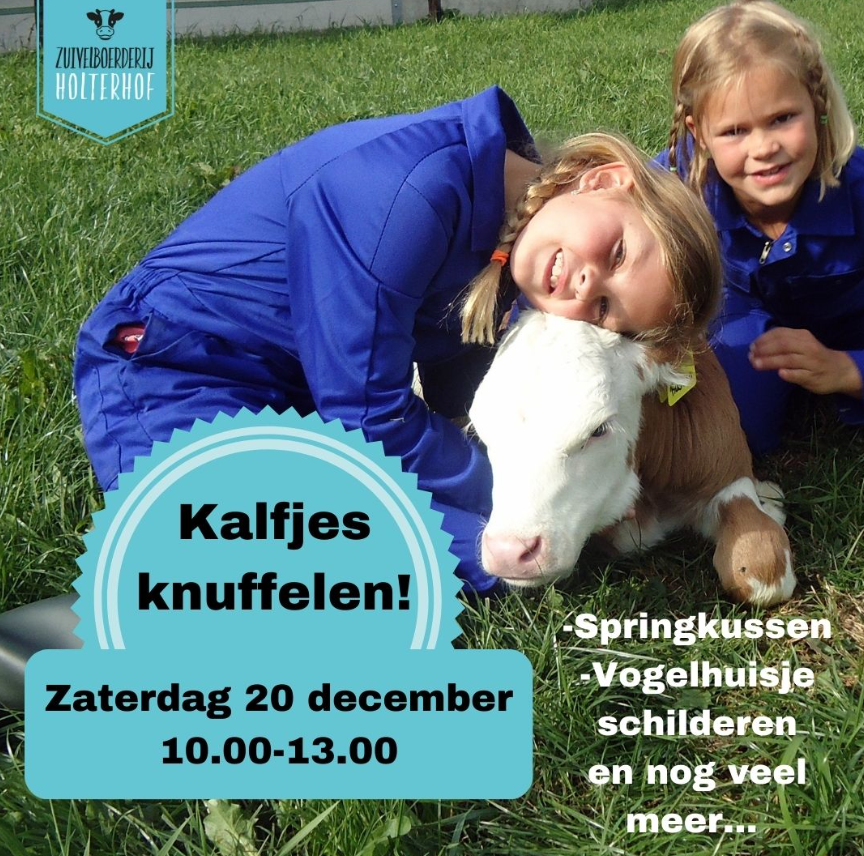 Kalfjes knuffelen bij Zuivelboerderij Holterhof