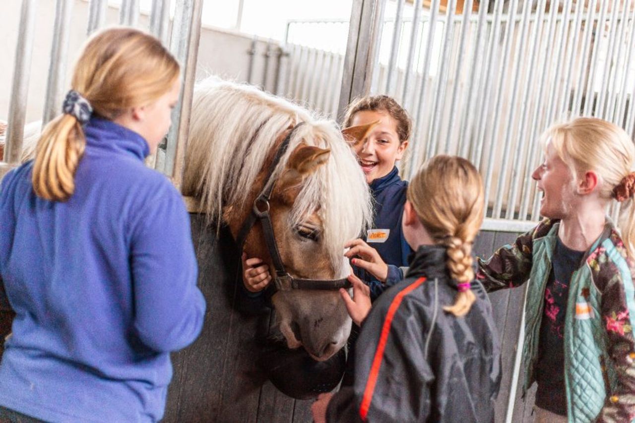 Ponymiddag bij Erve Meinders