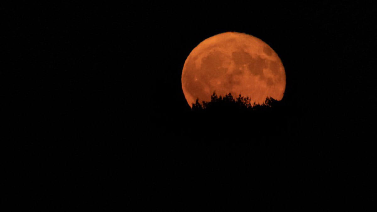 'Nacht van de nacht' bij Sterrenwacht Sallandse Heuvelrug
