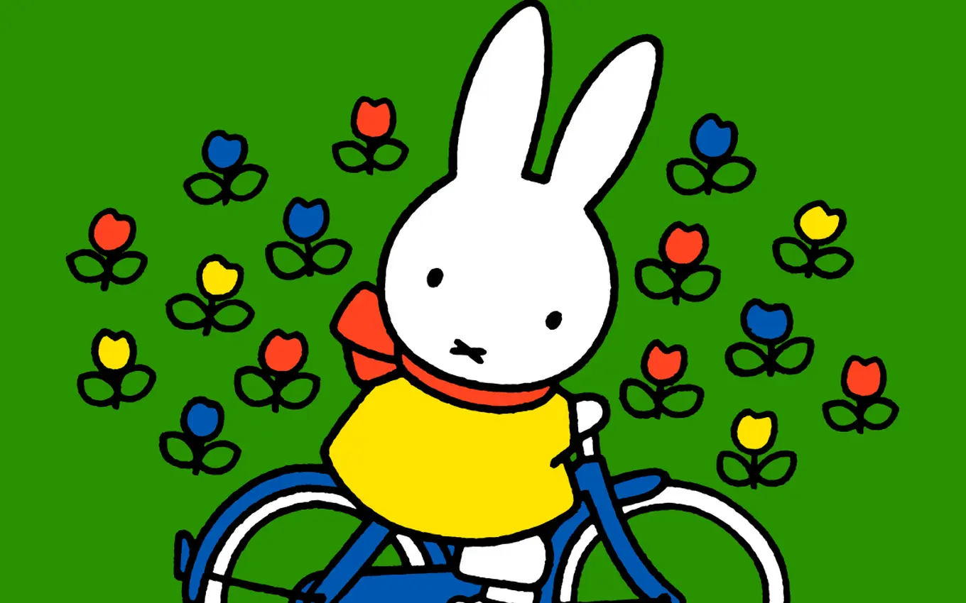 nijntje op de fiets (2+)